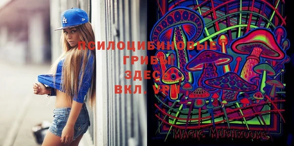 прущие крисы Алзамай