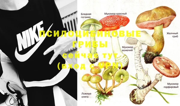 герыч Алексеевка