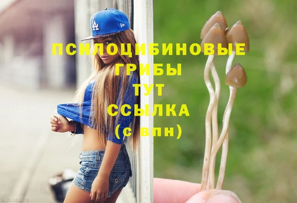 прущие крисы Алзамай